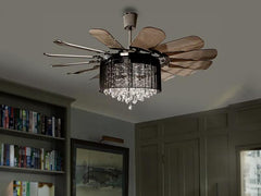 Decorative Fans