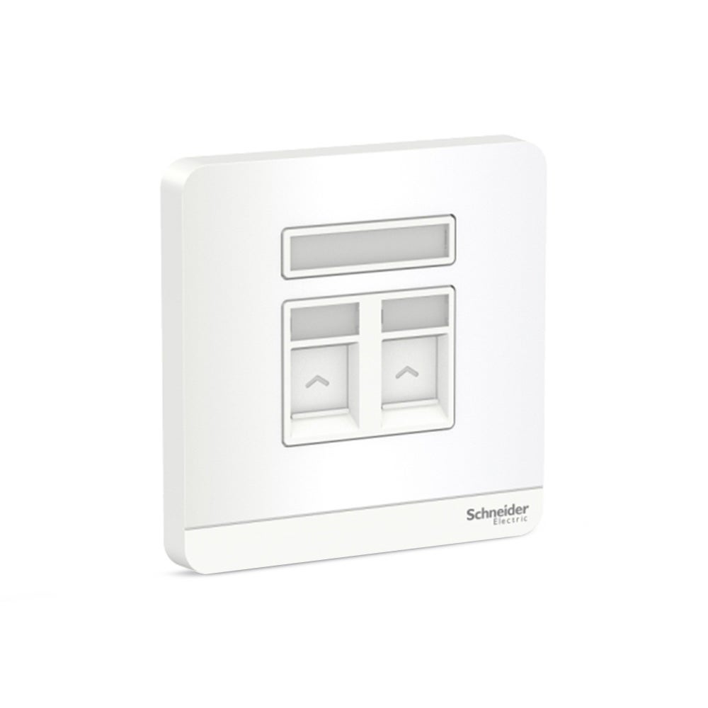 Schneider AvatarOn 2 Gang S Keystone Wallplate (w/o Mod) White (Pack of 10)