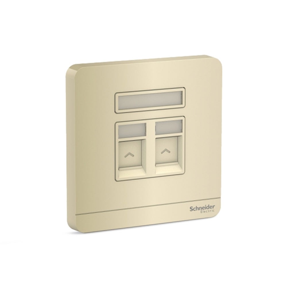 Schneider AvatarOn 2 Gang S Keystone Wallplate (w/o Mod) Wine Gold (Pack of 10)